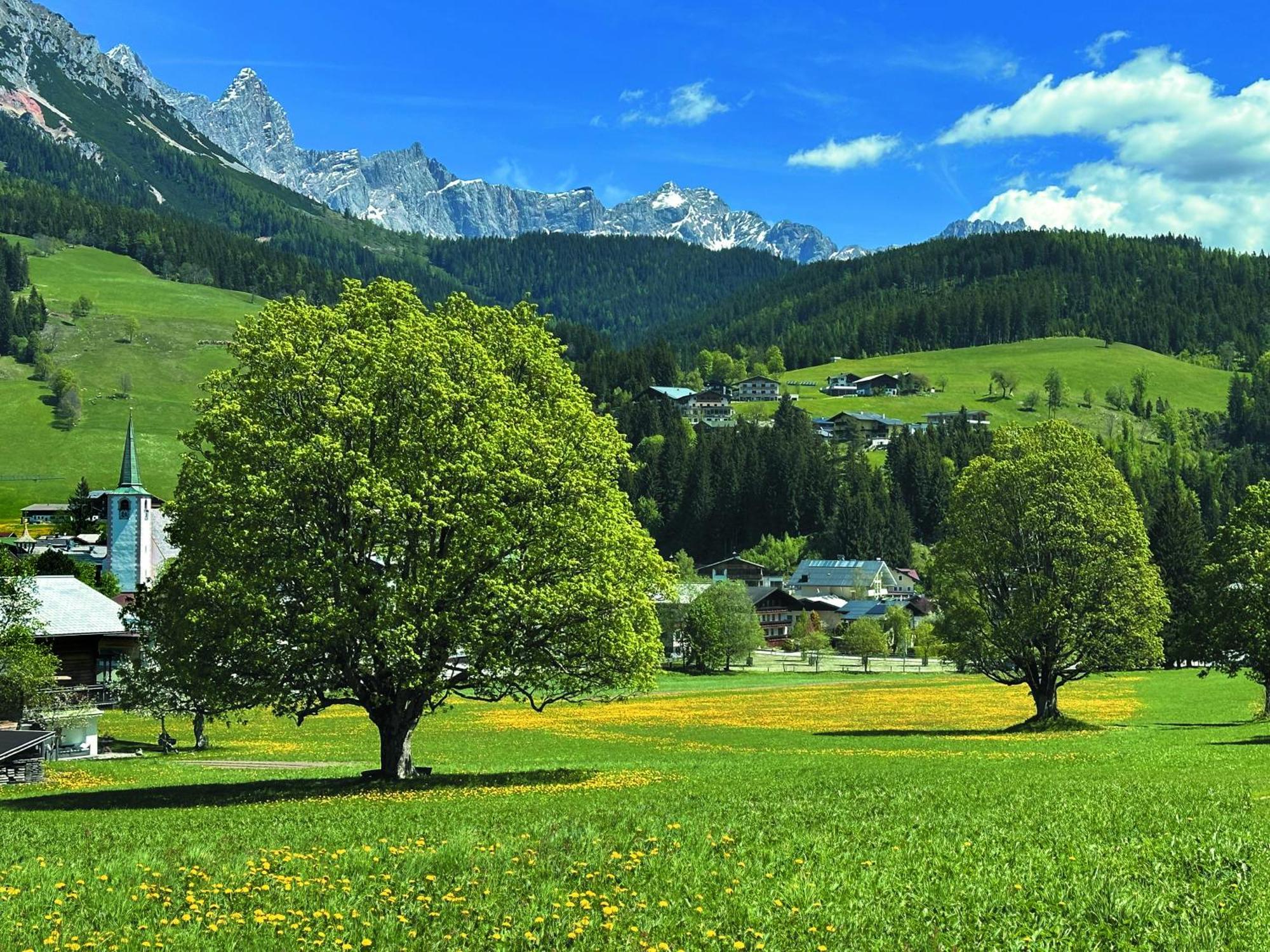 Sonnenseite Filzmoos Daire Dış mekan fotoğraf